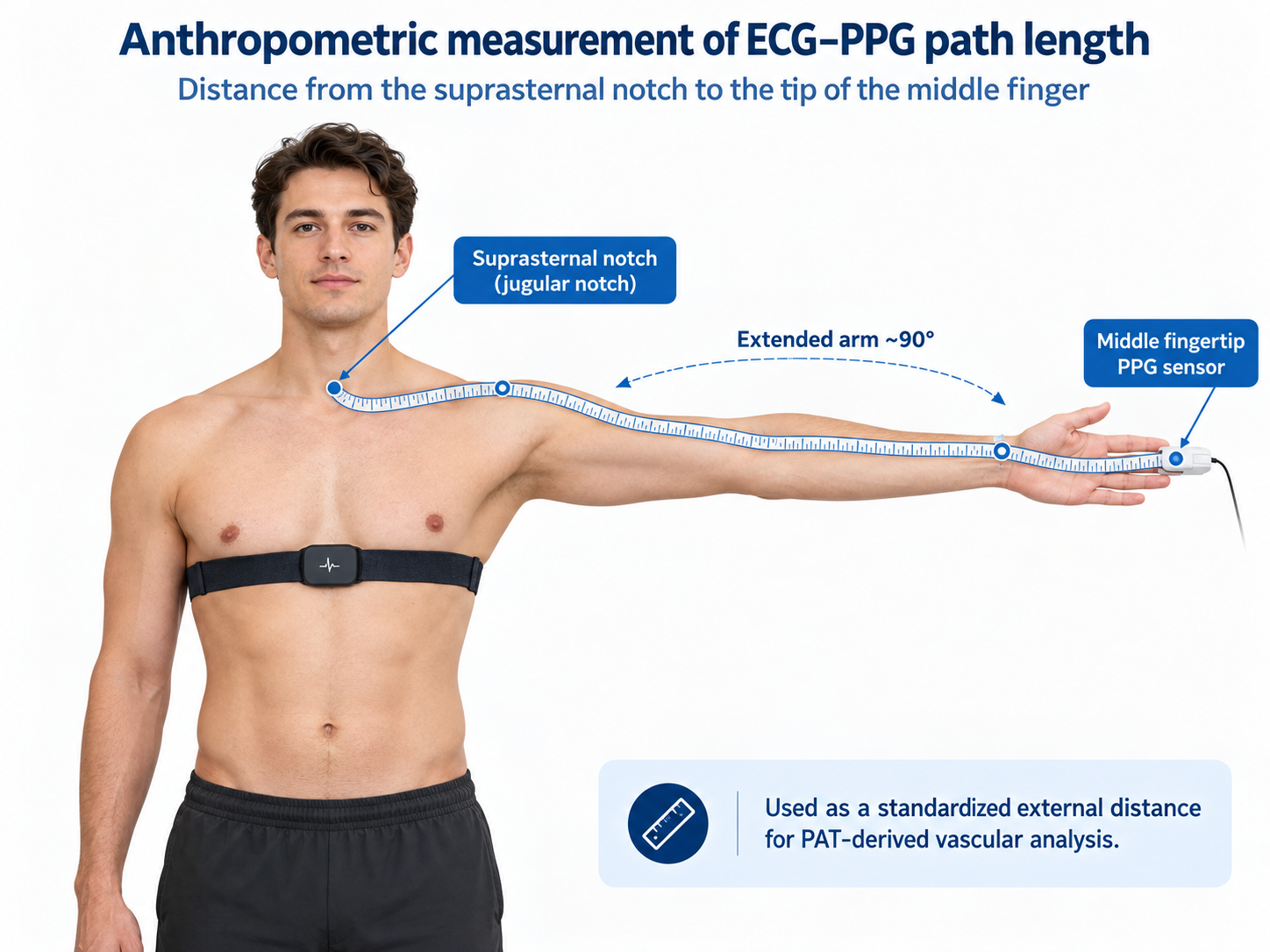 Anthropometric measurement of the ECG–PPG path length from the suprasternal notch to the tip of the middle finger.